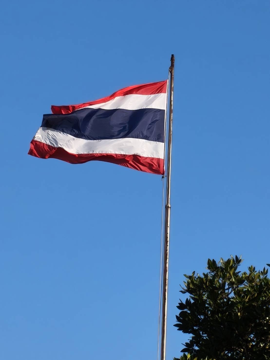 597390899_4266845986883978_5539551242327299386_n