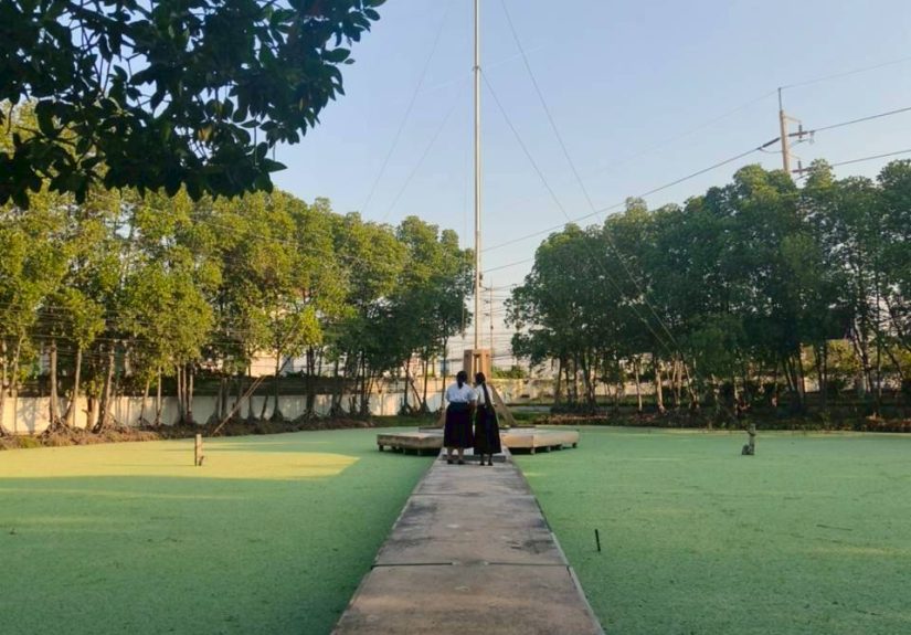 621834605_1232965125603413_6914498420461845974_n